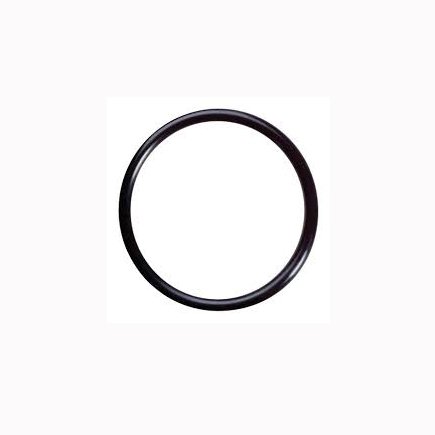 TL131.06 ORING FOR FLANGE CMS GREENJET