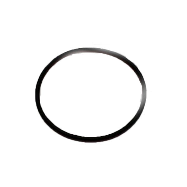 034858/220 O ring backup ring